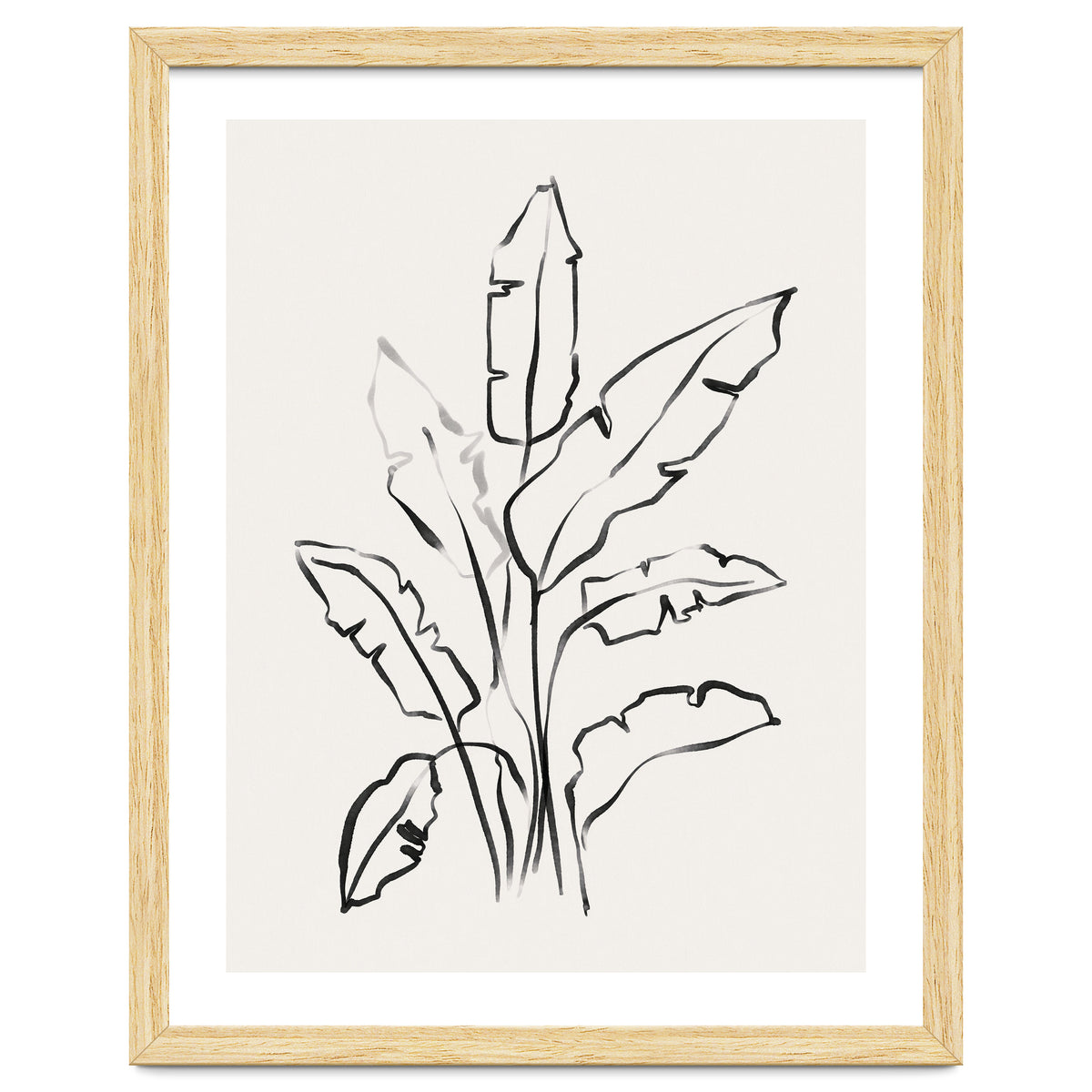 Banana Leafs Drawing