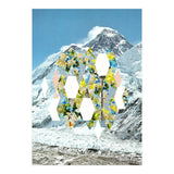 Mountain Flower (Print Only) thumbnail