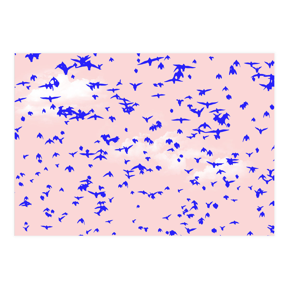 The Right To Fly (Print Only)