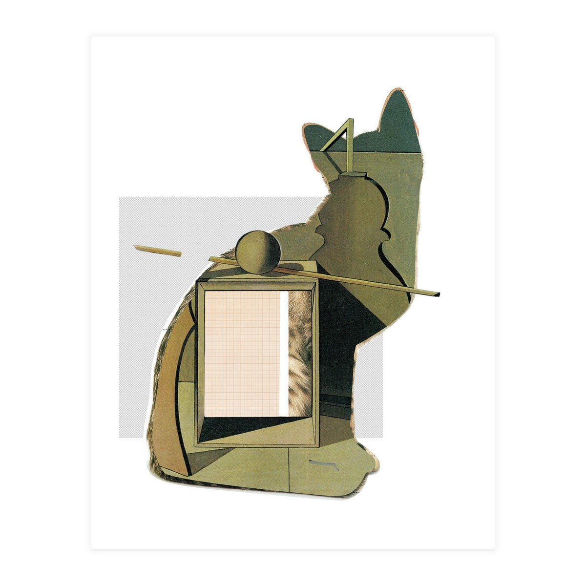 Catomania · Aus Den Sieben Leben Einer Katze · Morandi´s Cat (Print Only)