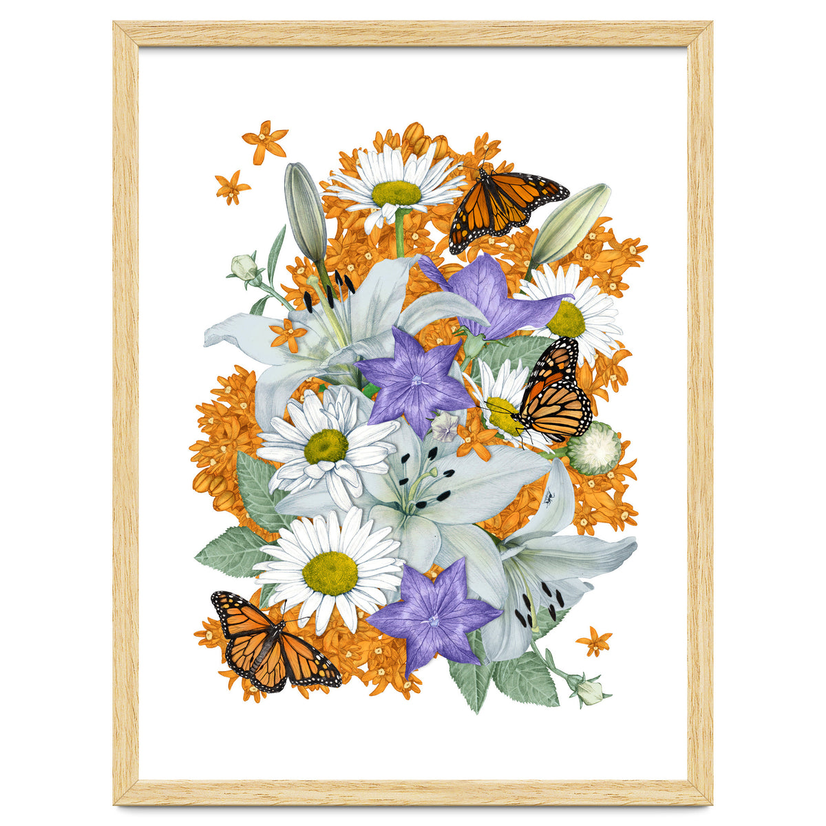 Lillies and Monarchs