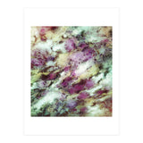 Remnants Of The Roses (Print Only) thumbnail