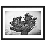 Cut down tree top thumbnail