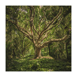 Spirits inside the wood (Print Only) thumbnail
