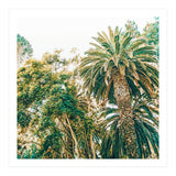 Newport (Print Only) thumbnail