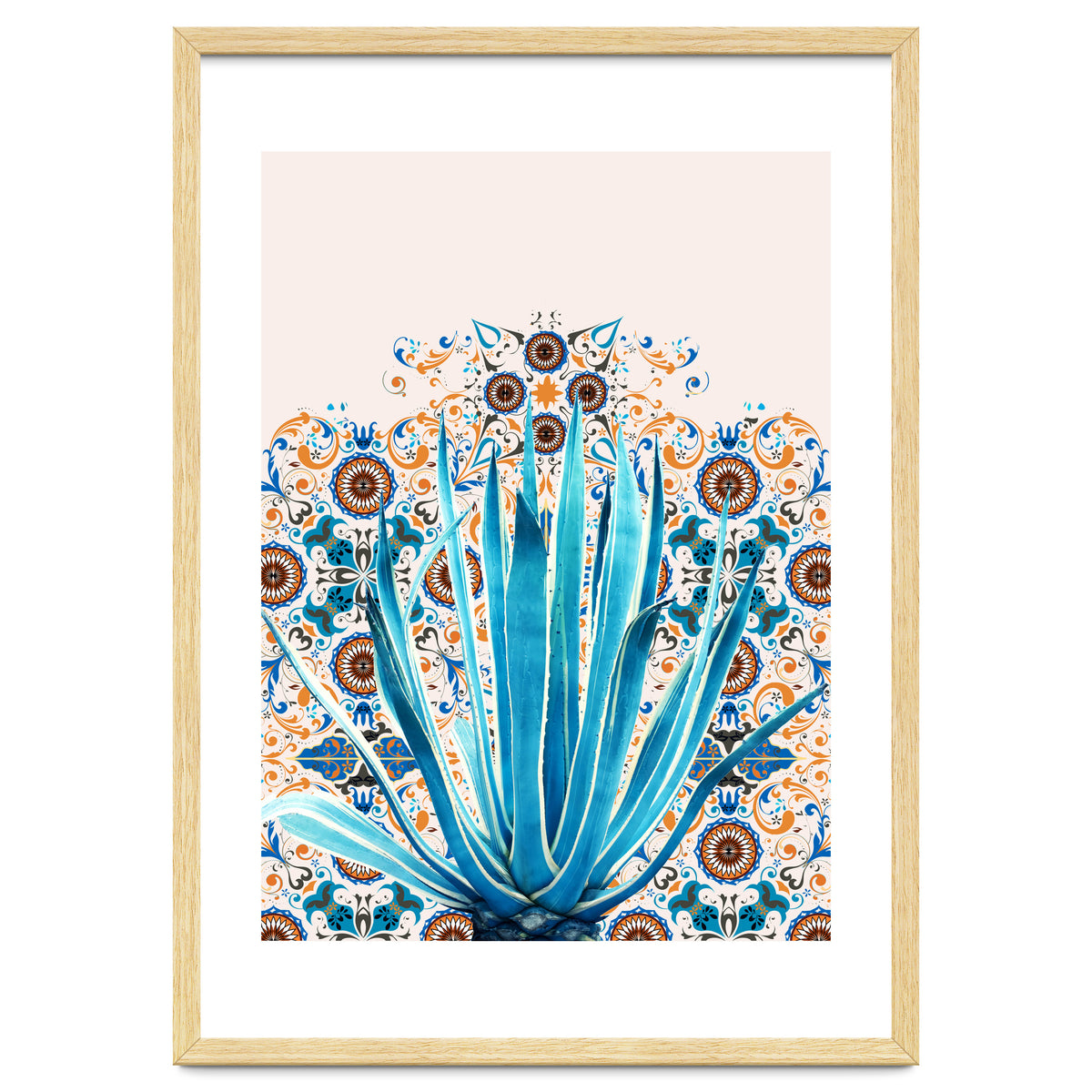 Cactus and Moroccan tiles