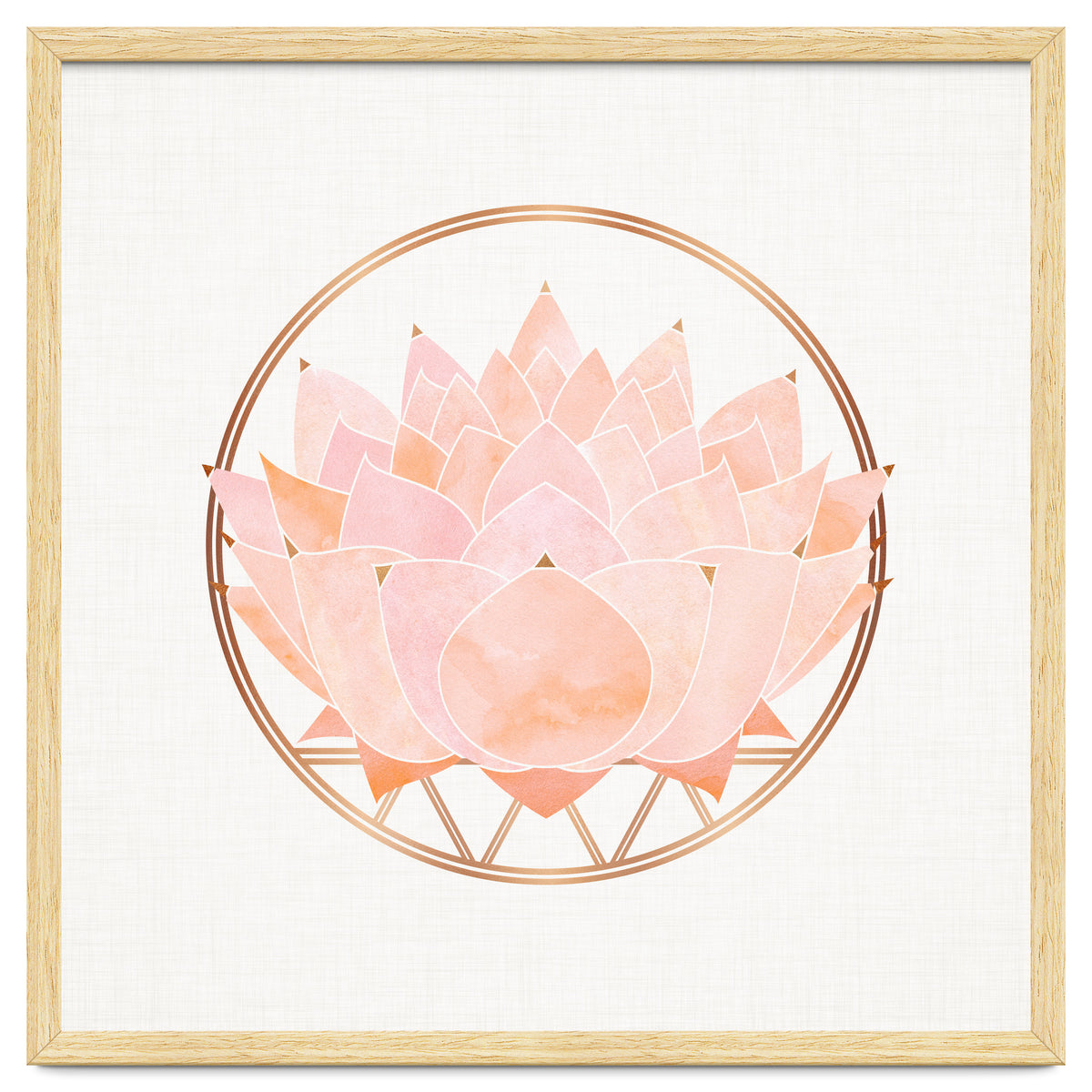 Peach Succulent  Blossom