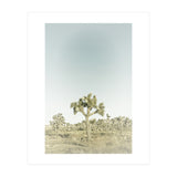 Vintage Joshua Tree  (Print Only) thumbnail