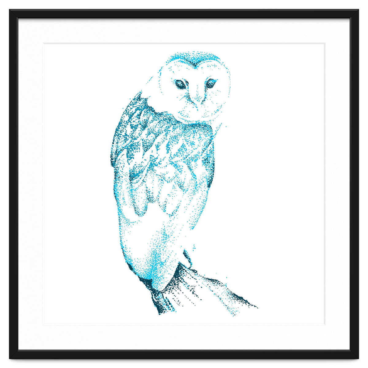 Barn Owl in Teal