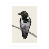 Hooded crow watercolor (Print Only) thumbnail