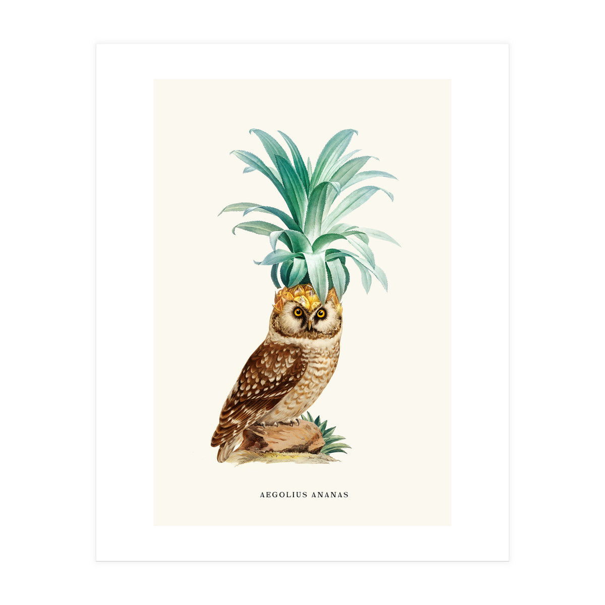 Pineapple Owl Vintage (Print Only)