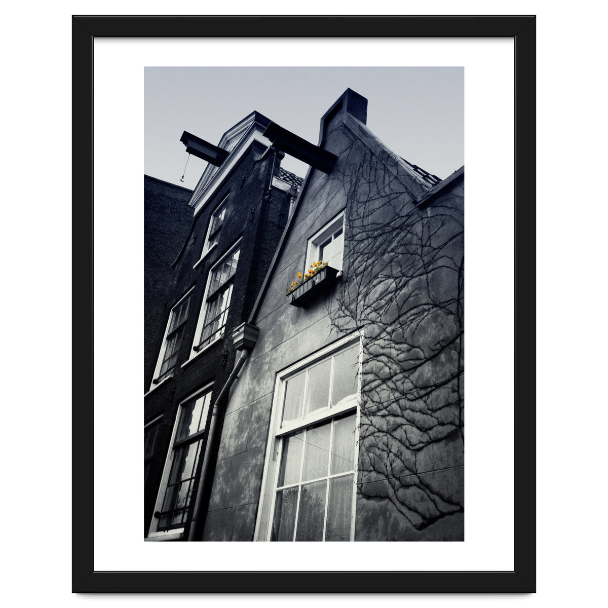 Amsterdam. House With Yellow Flowers.