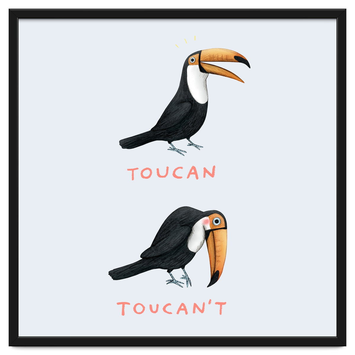 Toucan Toucan't