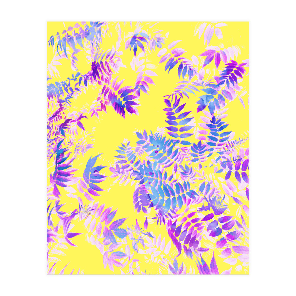 Vibrance (Print Only)