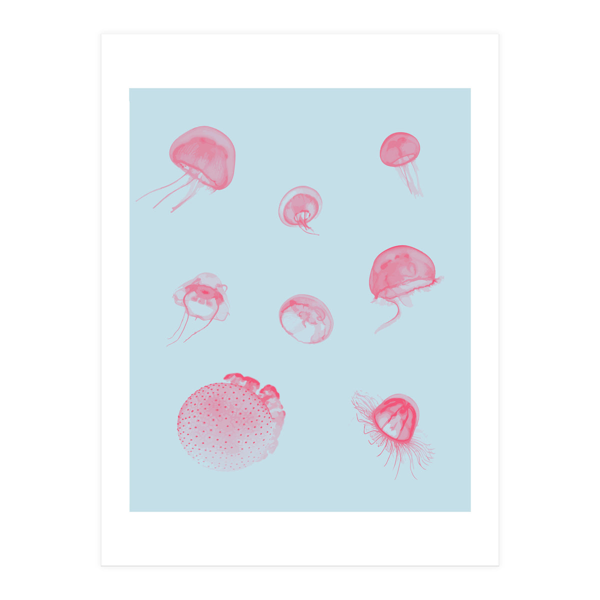 Jellyfish (Print Only)