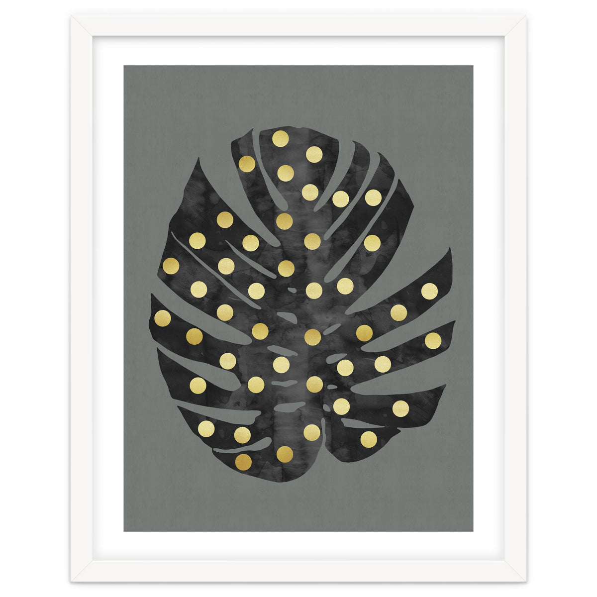 Monstera Deliciosa V