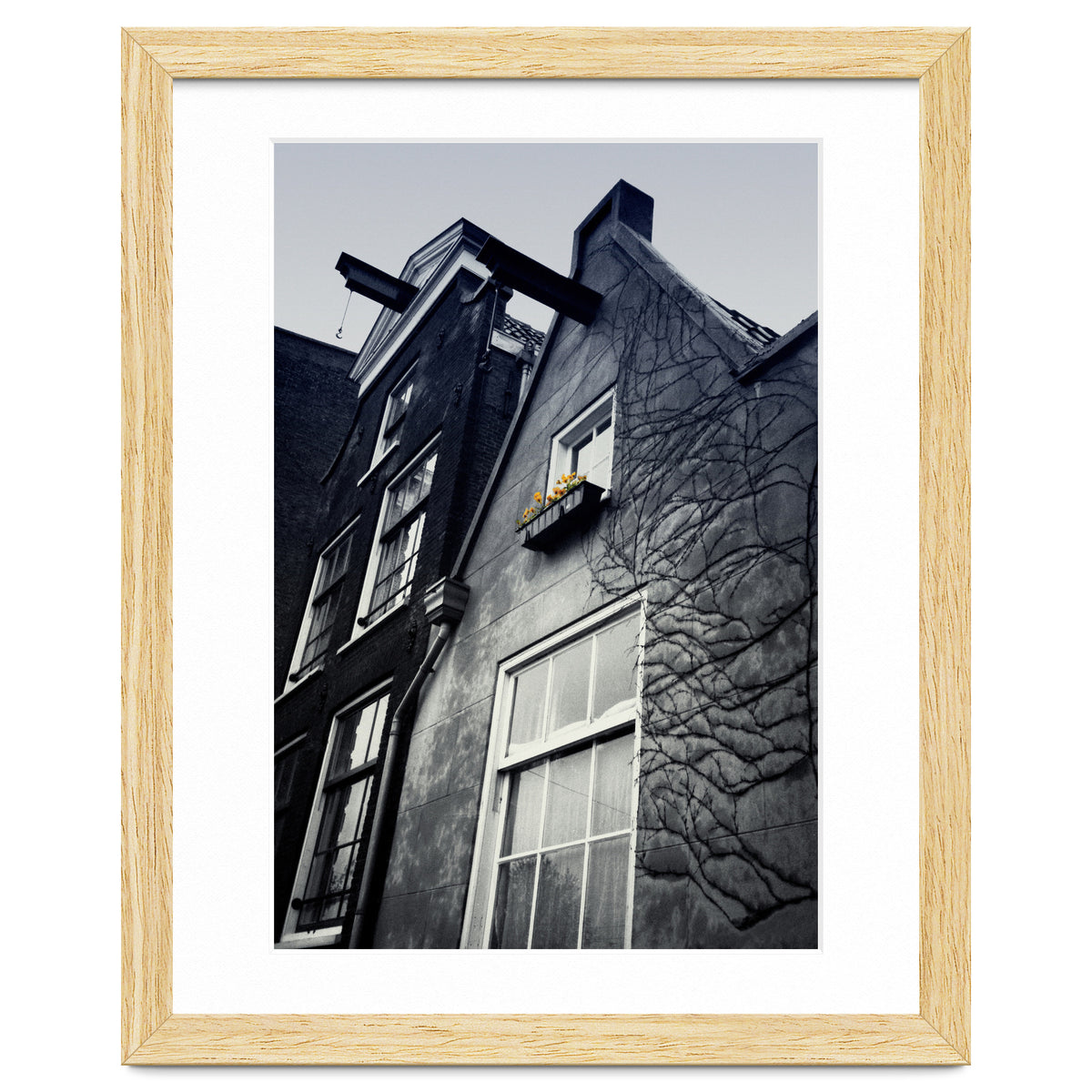 Amsterdam. House With Yellow Flowers.