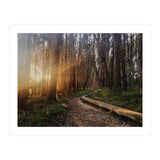 The Wood Line I (Print Only) thumbnail