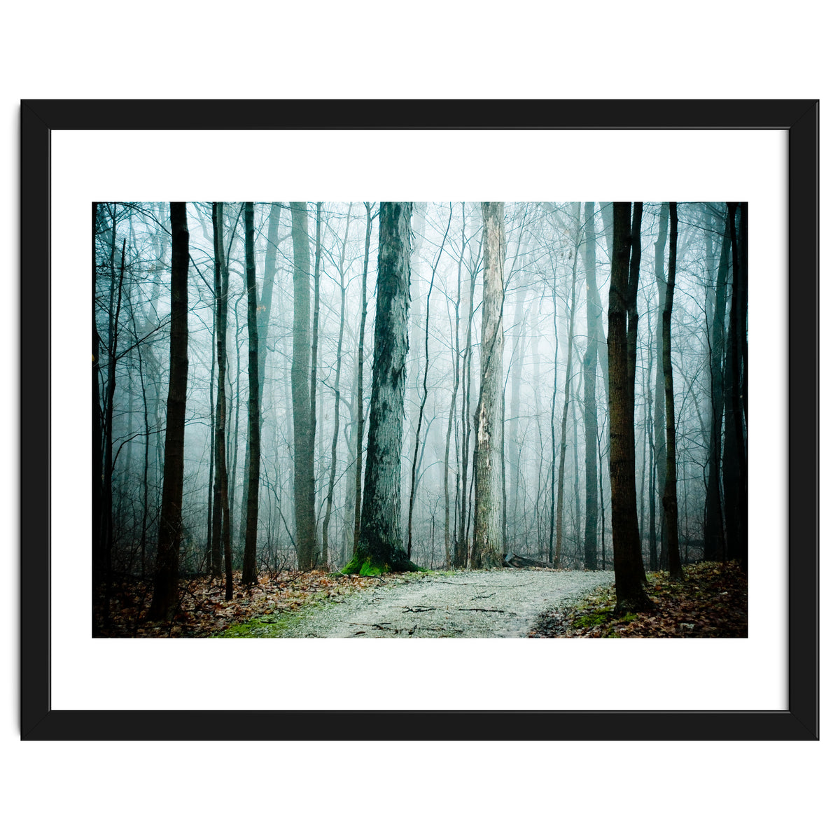 Gather Up Your Dreams