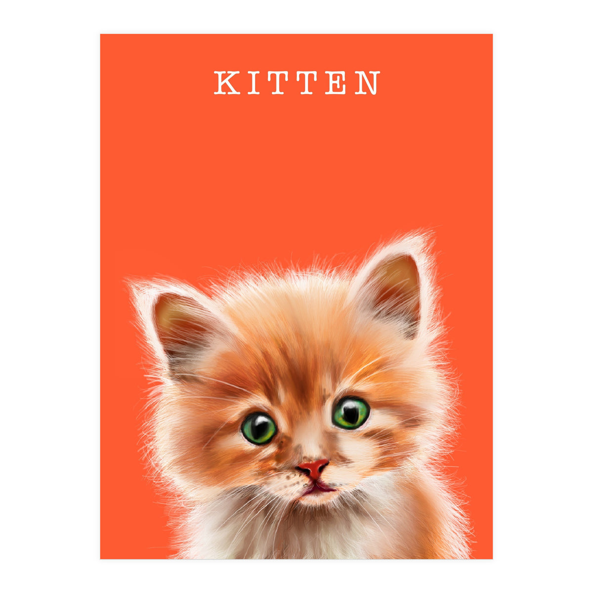 Kitten (Print Only)