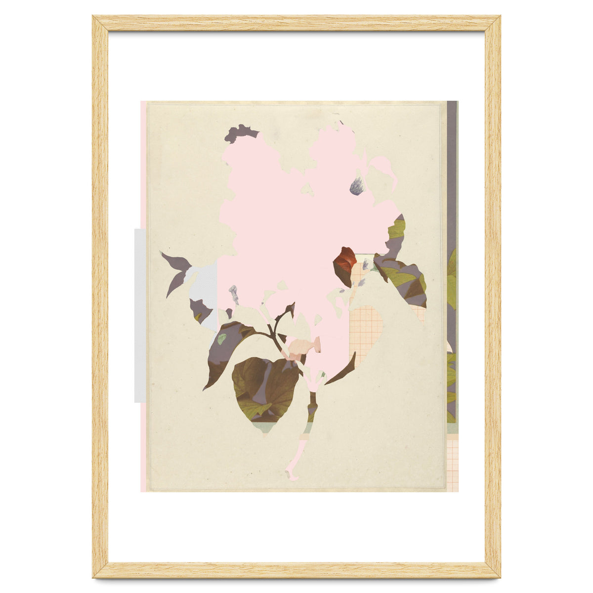 The First Plant · G