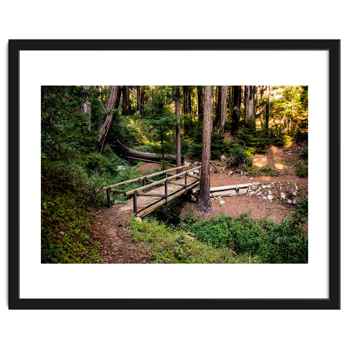 Ewoldsen Loop Bridge