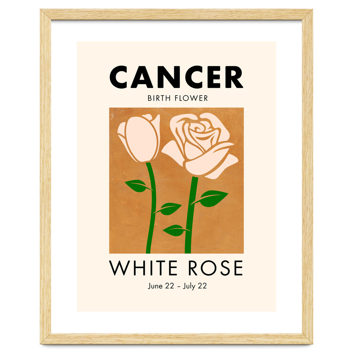 Cancer Birth Flower White Rose
