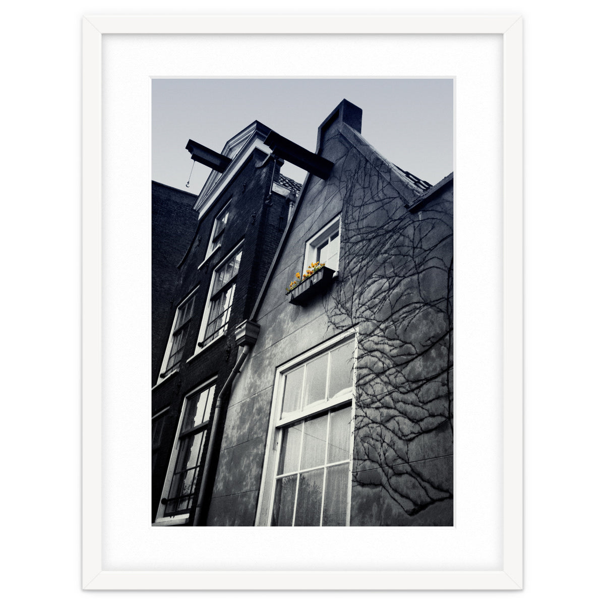 Amsterdam. House With Yellow Flowers.