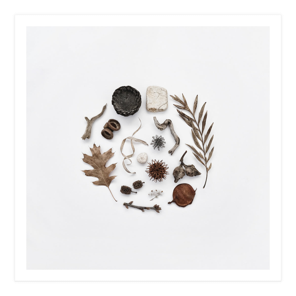 Treasures From Nature No. 2 - Square (Print Only)