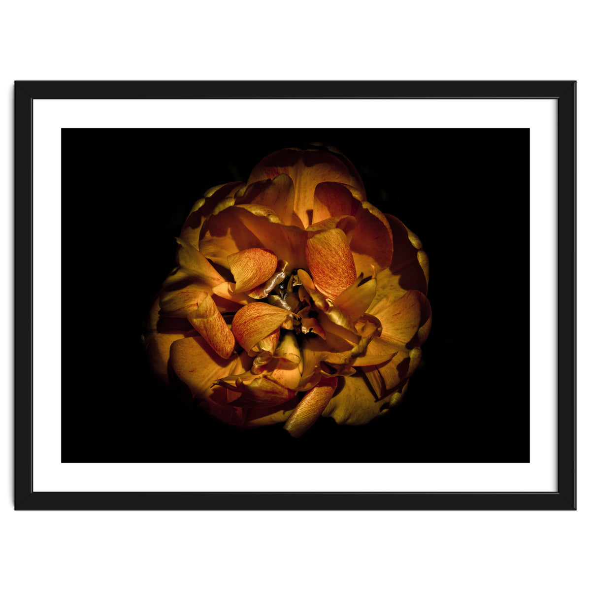 Backyard Flowers No 80 Color Version