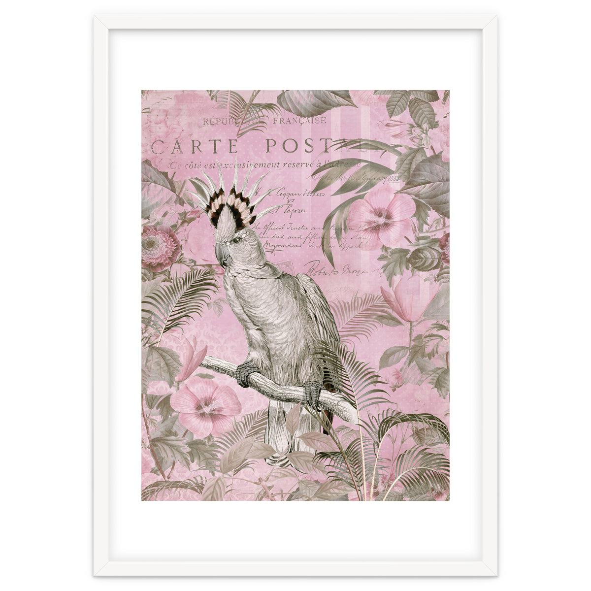 Jungle Cockatoo Pink