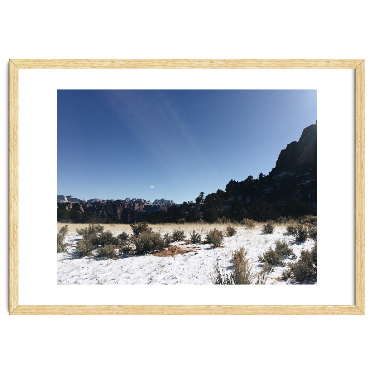 Zion National Park II