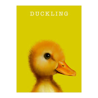 Duckling (Print Only)