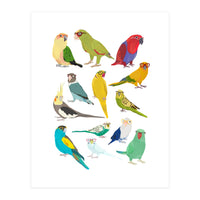 Parrotts in Glasses (Print Only)