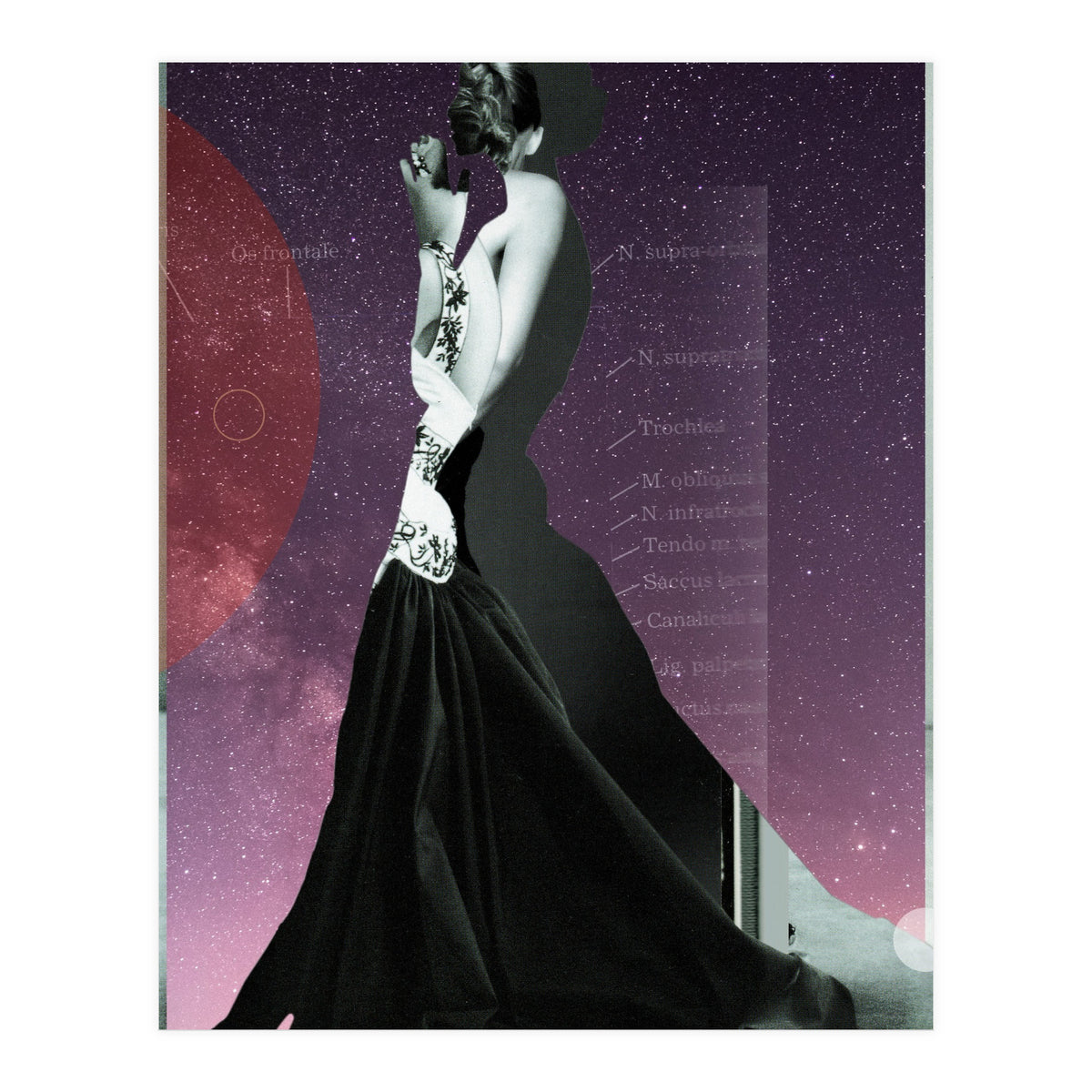 Princess (Print Only)