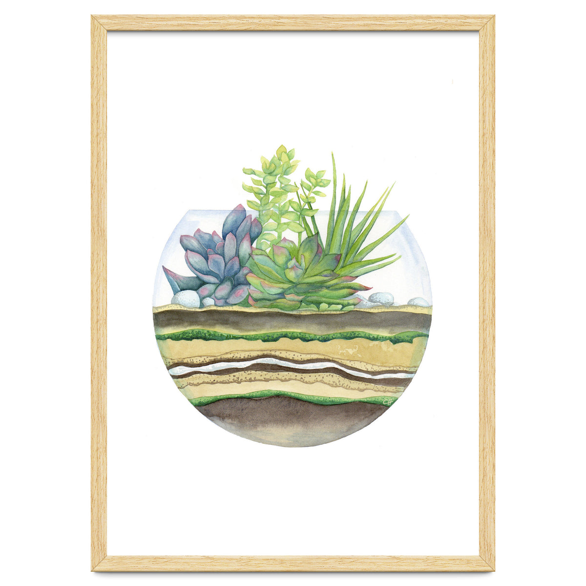 A Little Green Terrarium