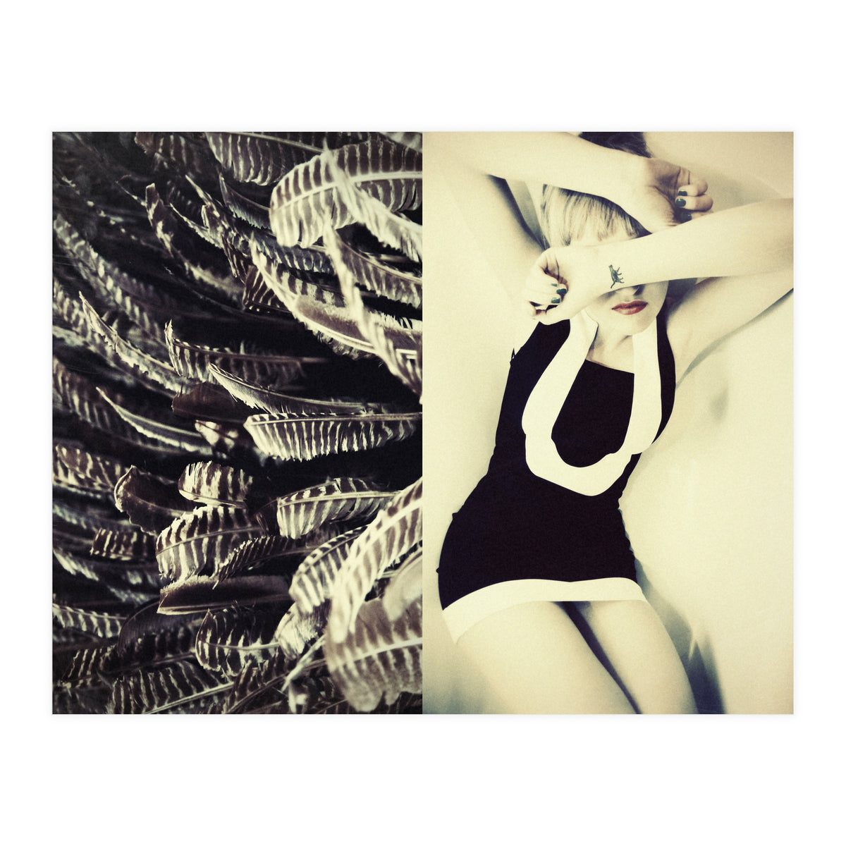 Featherish (Print Only)