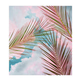 Palms + Sky (Print Only) thumbnail