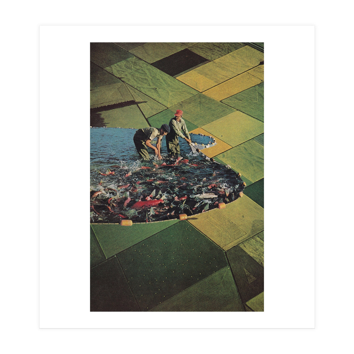 Salmon Farm (Print Only)