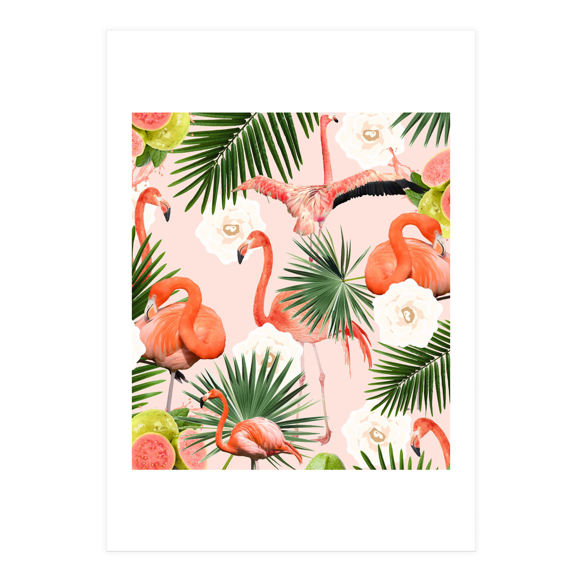 Flamingo Guava (Print Only)