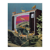Animal Channel (Print Only) thumbnail