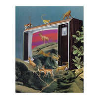 Animal Channel (Print Only)