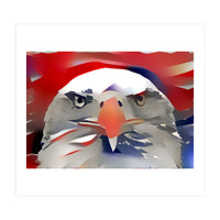 Bald Eagle (Print Only)