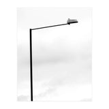The Street Light (Print Only) thumbnail