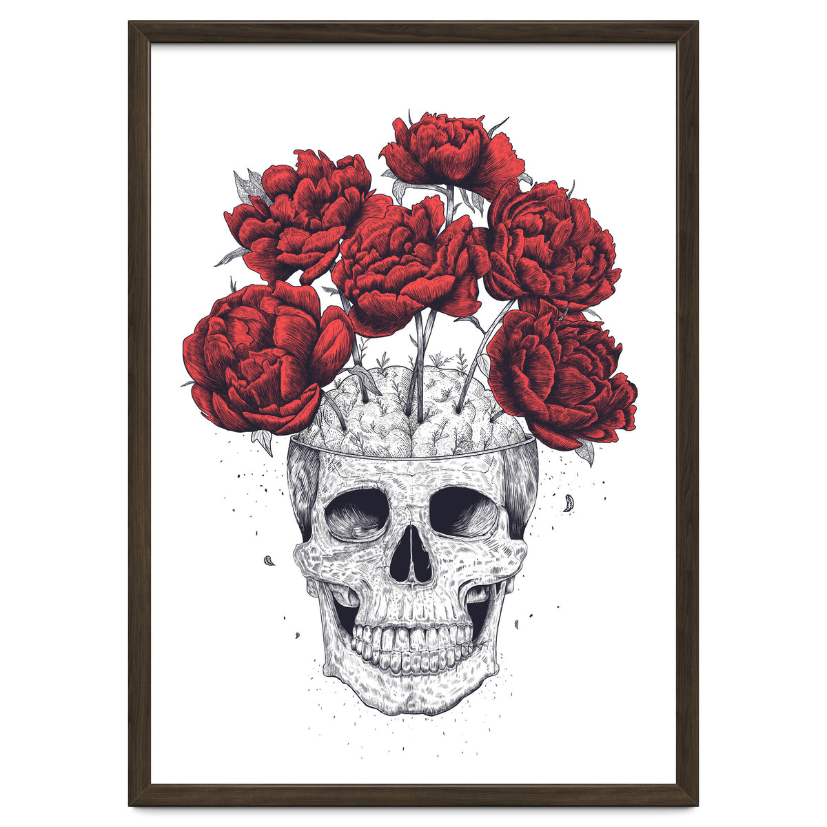 Skull With Peonies