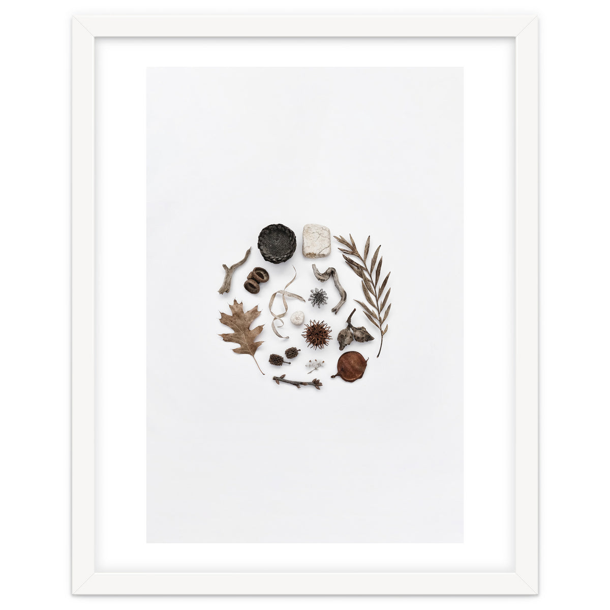 Treasures From Nature No. 2