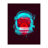 Astronaut (Print Only) thumbnail
