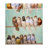 Birds Birds Birds (Print Only) thumbnail