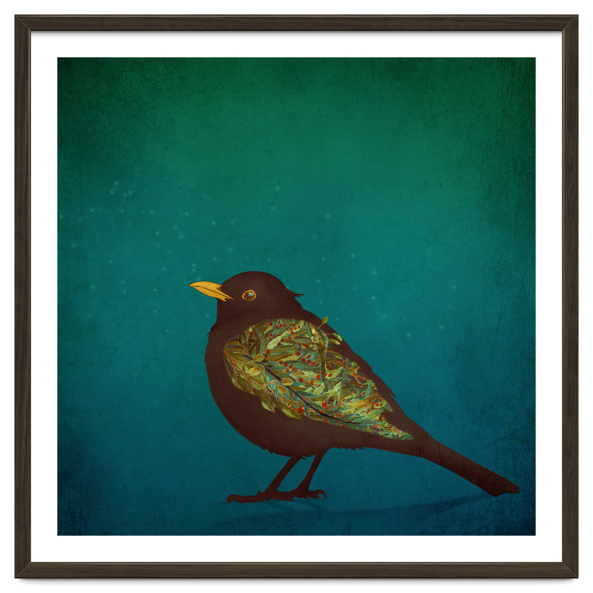 Camouflage: The Blackbird