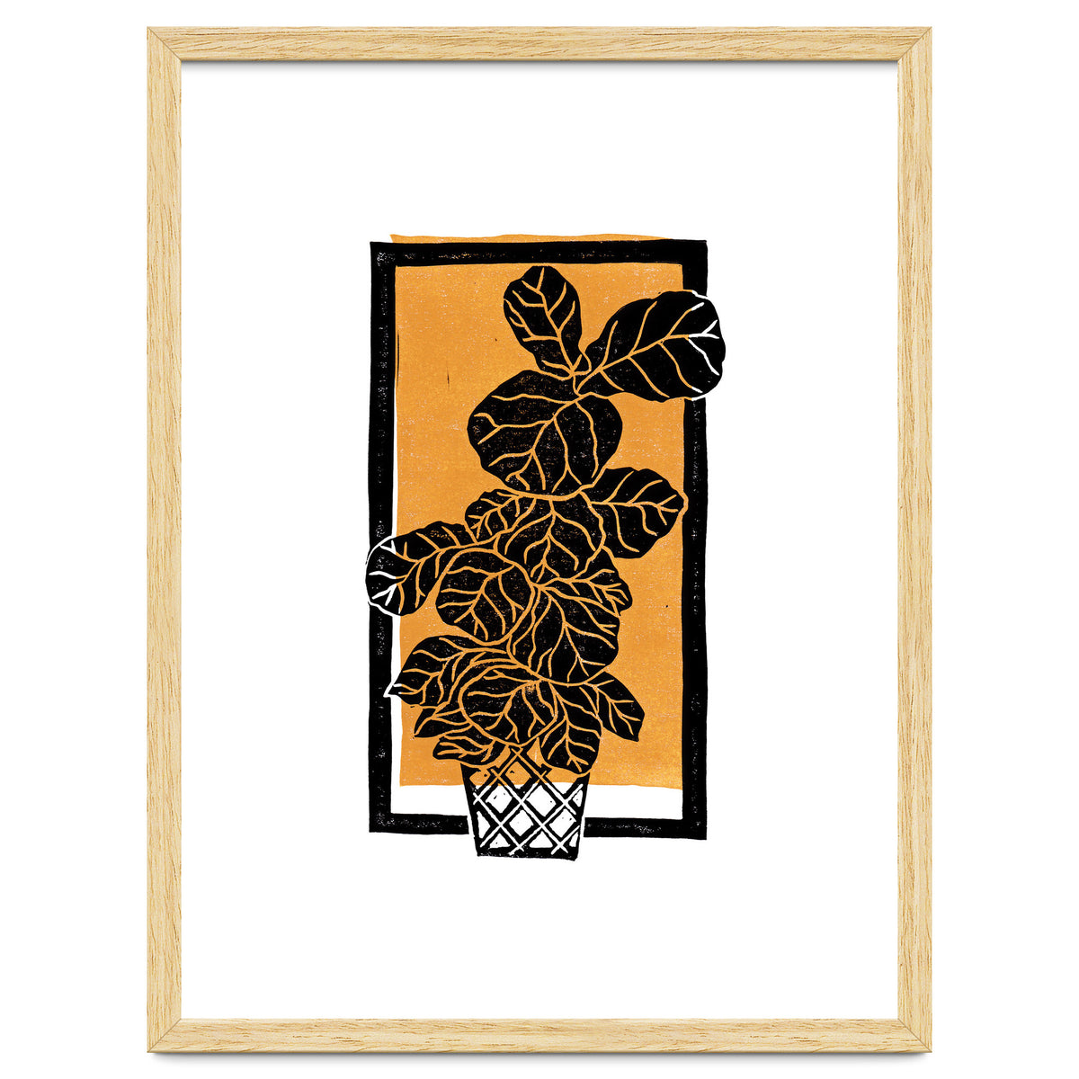 Fiddle Leaf Fig Clean + Sunlight